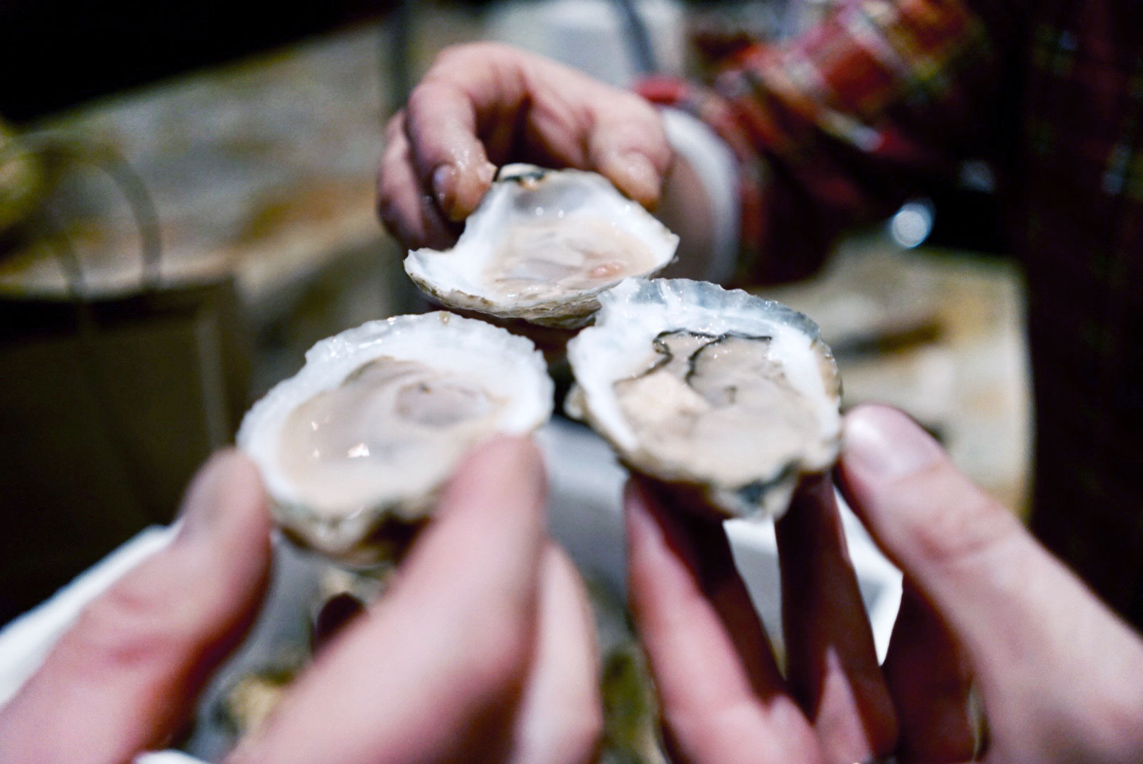 oyster cheers.jpg